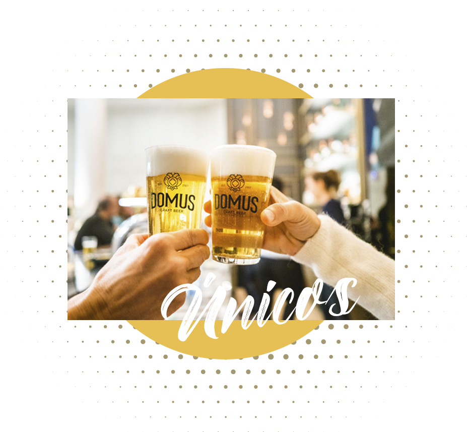 Creamos Domus Únicos